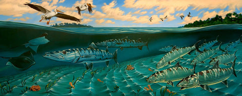 Bonefish Florida Bay